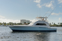 Sheko Gweilo-port_profile-2