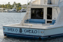 Sheko Gweilo-stern-1