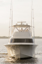 Hadenuff-bow_profile-3