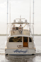 Hadenuff-stern-2