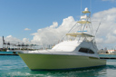 Seagar-bow_profile-1