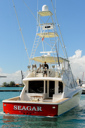 Seagar-stern-2