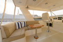 Dawn To Dusk-flybridge-11