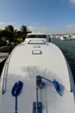 Magnifica-bow-2