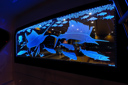 photos/Scooter_etched_glass.jpg