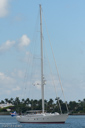 Jess Sea-starboard_profile-3