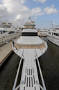 photos/Hard_Assets-bow-2.jpg