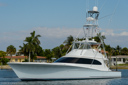 Attitudes-bow_profile-5