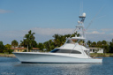 Attitudes-port_profile-1