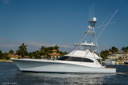 Attitudes-port_profile-2