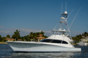 Attitudes-port_profile-3