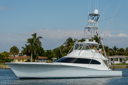 Attitudes-port_profile-4