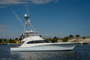 Attitudes-starboard_profile-2