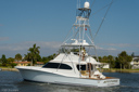 Attitudes-stern-1