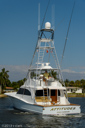 Attitudes-stern-2
