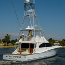 Attitudes-stern-5