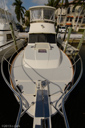 August Star-bow-2