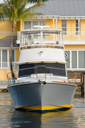 August Star-bow_profile-2