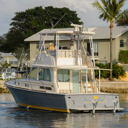 August Star-stern-1
