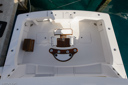 Carol Libby-cockpit-7