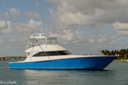 Chasin Tail_CC40144