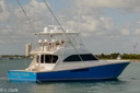 Chasin Tail_CC40149