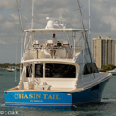 Chasin Tail_CC40158