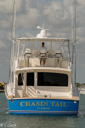 Chasin Tail_CC40161